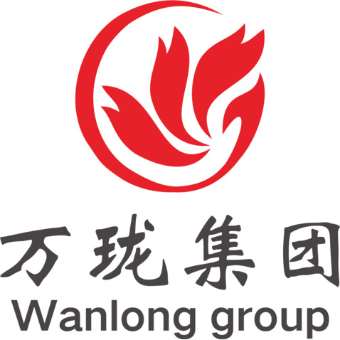 万龙集团logo设计