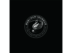 建设路小学乐音飞扬管乐团2
