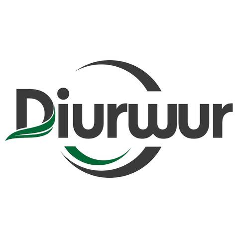 Diurwurlogo设计