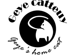 Geye's home cat