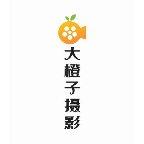 大橙子摄影logo设计