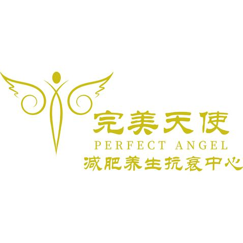 完美天使logo设计