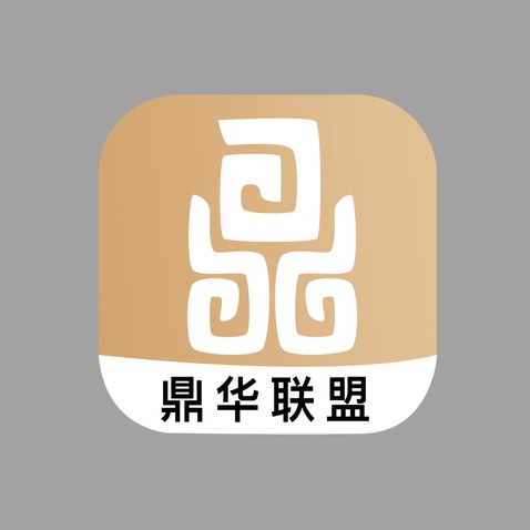 鼎华联盟logo设计