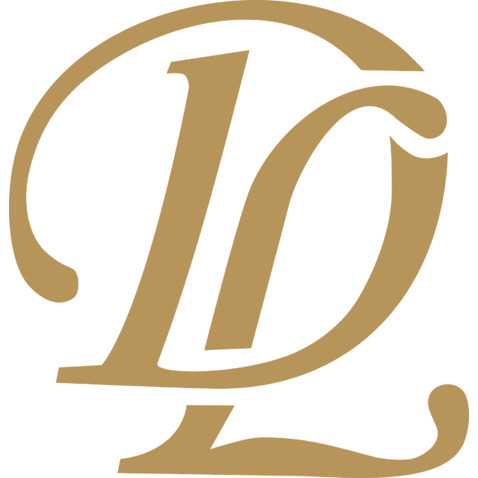 DL  轻奢美业集成店logo设计