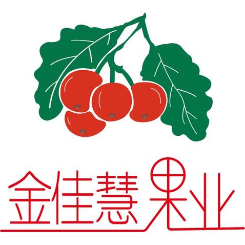 金佳慧果业logo设计