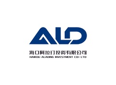 海口阿拉丁投资有限公司