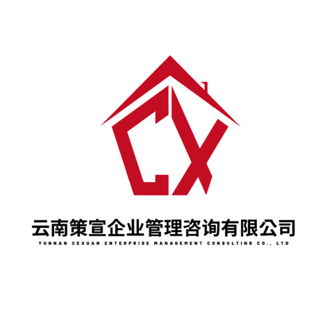 云南策宣企业管理咨询有限公司logo设计