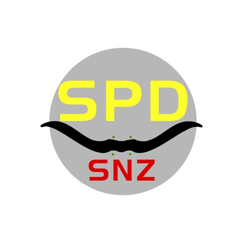 spd-snzlogo设计