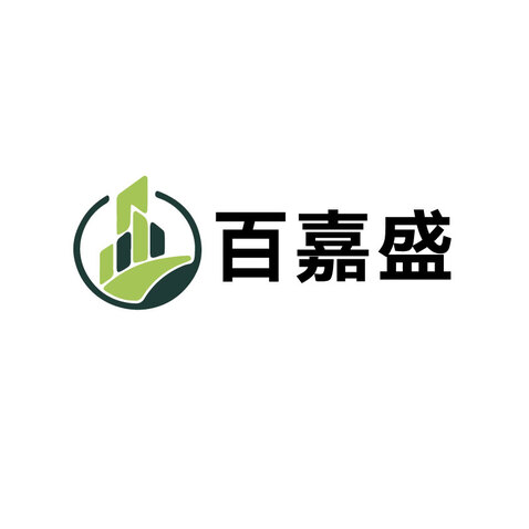 百嘉盛logo设计