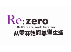 从零开始的养猫生活