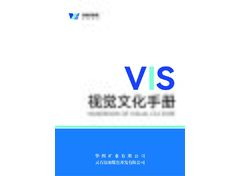 竖版永泰vis