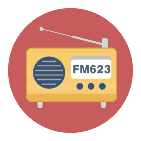 FM623logo设计