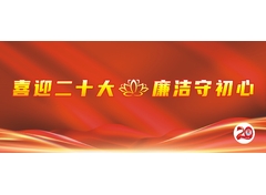 喜迎二十大