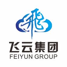 飞云集团
