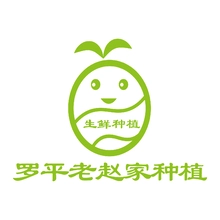 老赵