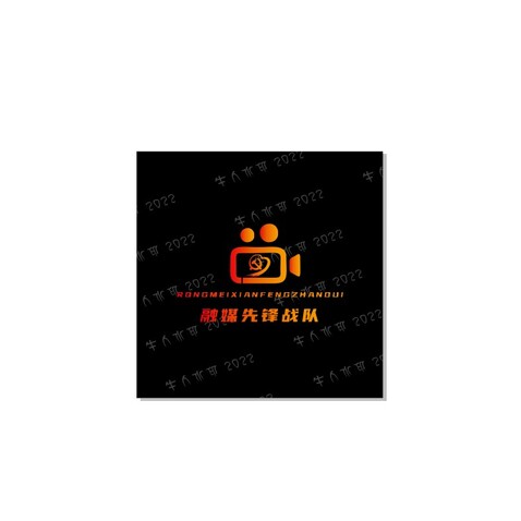 先锋战队logo设计