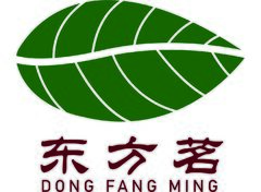 张子静99飞-东方茗