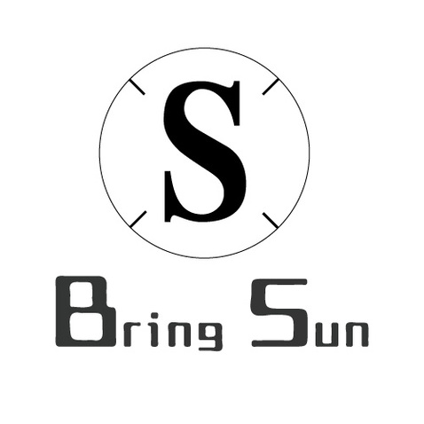 Bringsunlogo设计