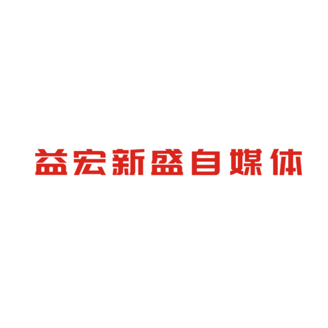 益宏新盛自媒体logo设计