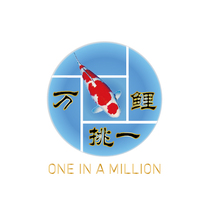 万鲤挑一