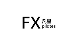 FX