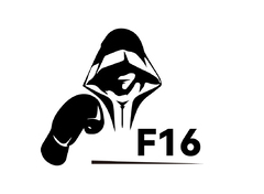 f16