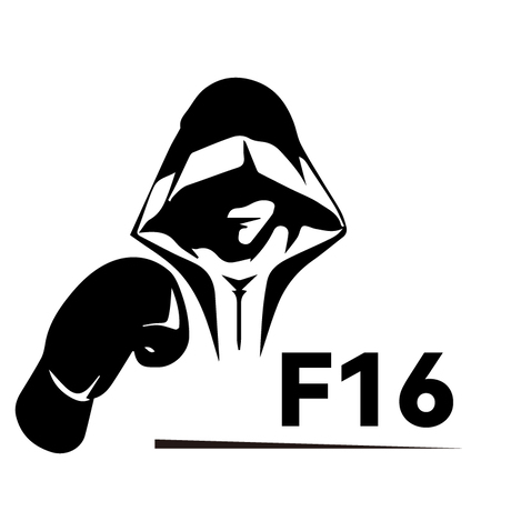 f16logo设计