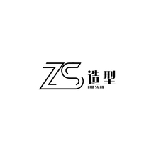 ZS造型