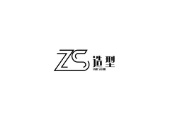 ZS造型