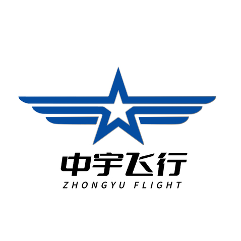 中宇飞行logo设计