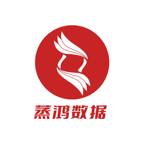 蒸鸿数据logo设计