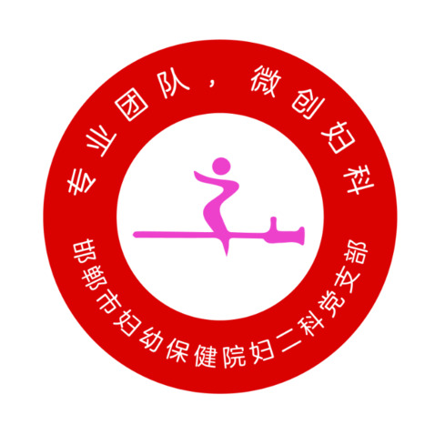 邯郸市妇幼保健院妇二科党支部logo设计