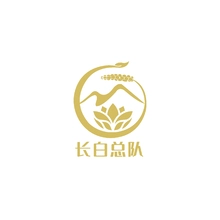 总队