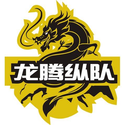 龙腾纵队logo设计