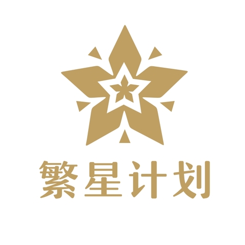 繁星计划logo设计