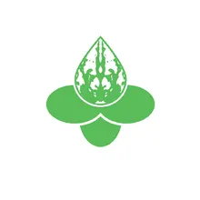 青皮