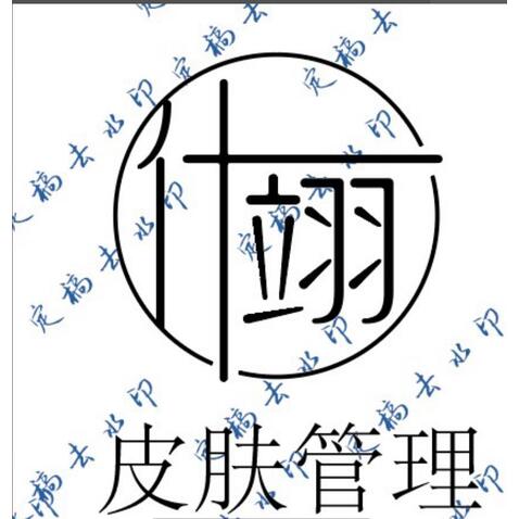 皮肤管理logo设计