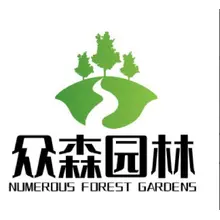 树根