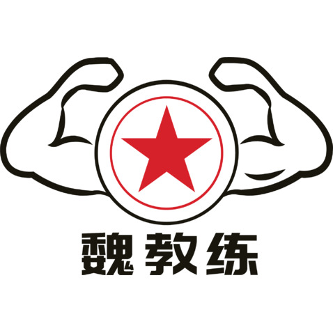 魏教练logo设计