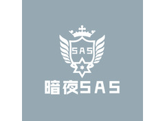 暗夜SAS