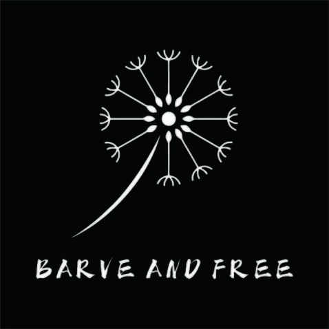 BARVE and freelogo设计