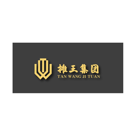 摊王集团logo设计