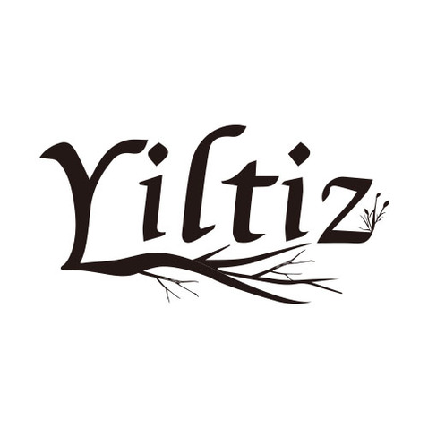 Yiltizlogo设计