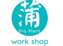 蒲