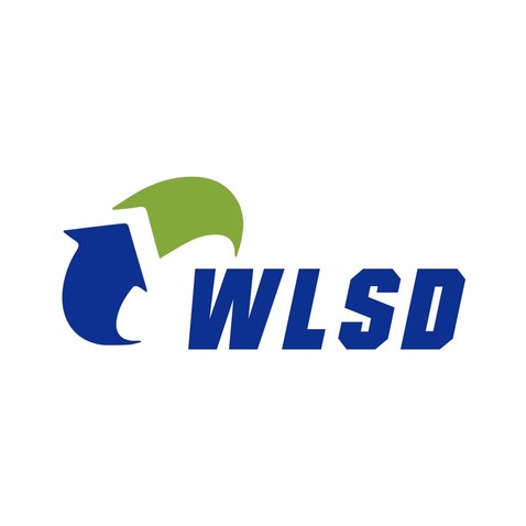 WLSDlogo设计