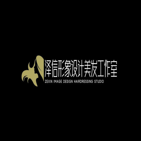 泽信形象设计 美发工作室logo设计