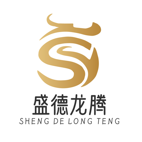 盛德龙腾logo设计