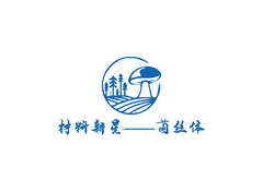材料新星