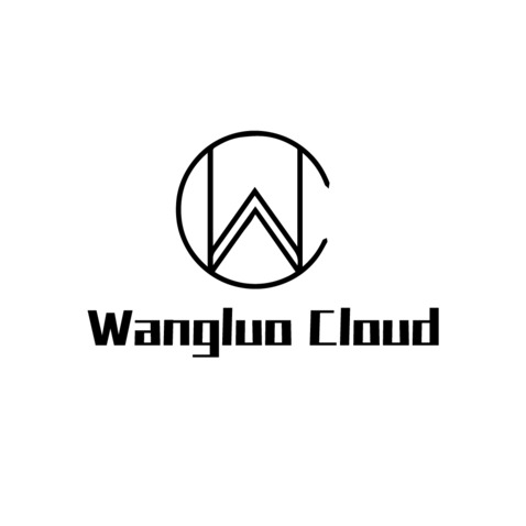 wangluo coldlogo设计