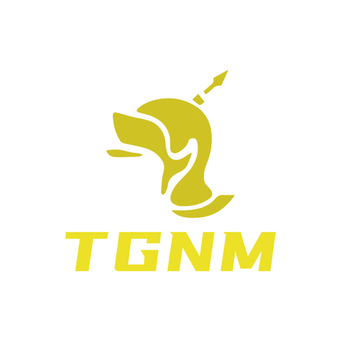 TGNMlogo设计